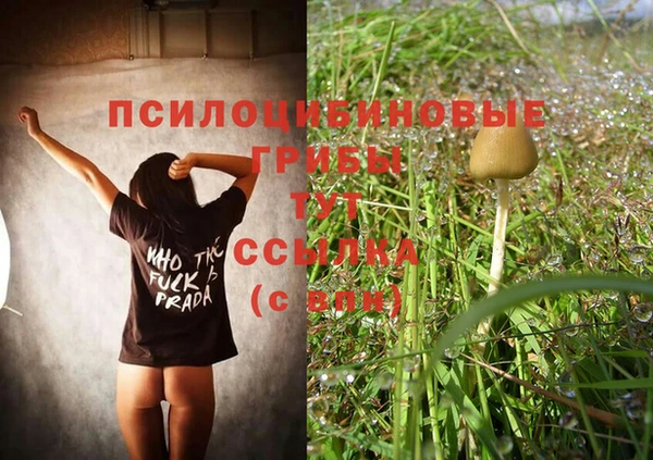 бутират Армянск