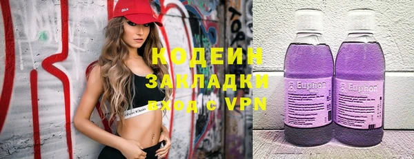 эйфоретик Арсеньев