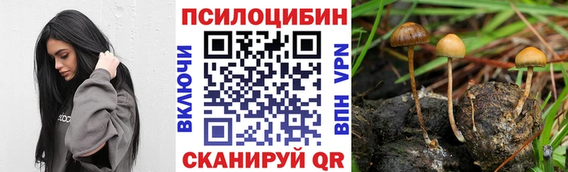 hydra зеркало  Сальск  Галлюциногенные грибы прущие грибы 