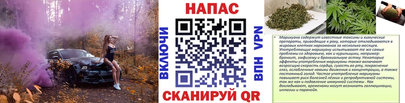 Шишки марихуана индика  Сальск 